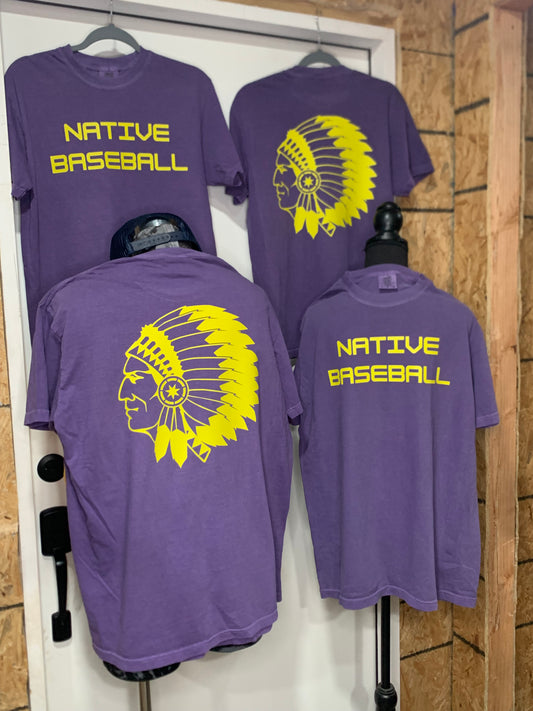 Native Baseball